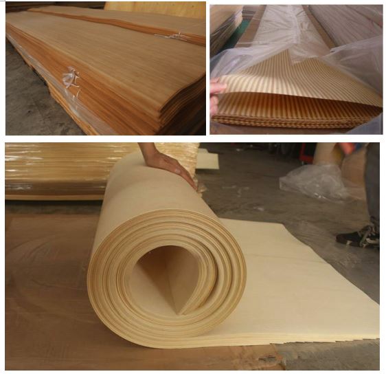 product-600-583 QQ截图20161027164505.png